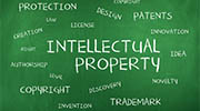 Mongolia intellectual property rights investigator